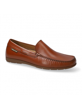 algoras fauve