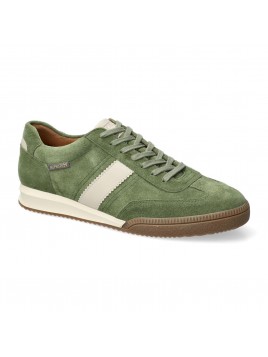 elyo velours vert