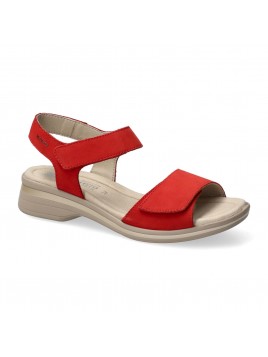 floraline velours rouge