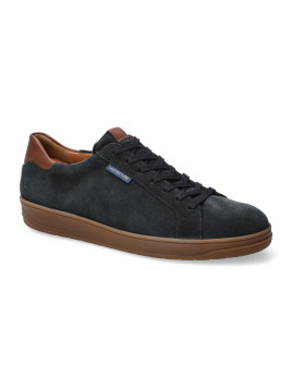 hasko velours bleu