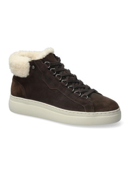 dolie velours dark marron