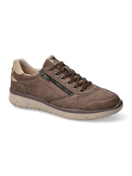 majestro 2 marron